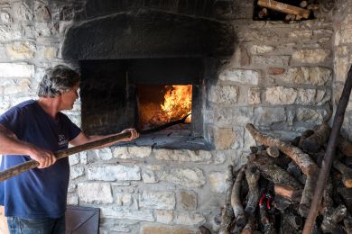 Galleria immagine Tenuta San Martino a Ciecione