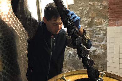 Image gallery Our Cellar