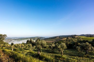 Image gallery EVO Oil and Health