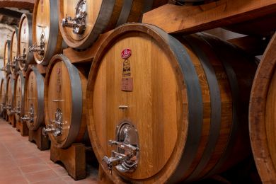 Image gallery Our Cellar