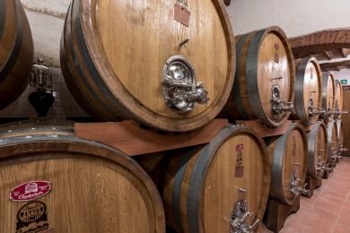 Image gallery Our Cellar