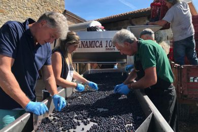 Image gallery Our Cellar